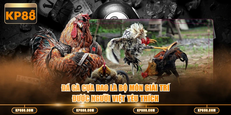 Đá gà cựa dao là bộ môn giải trí được người Việt yêu thích