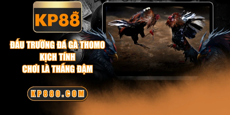 Đấu Trường Đá Gà Thomo Kịch Tính, Chơi Là Thắng Đậm