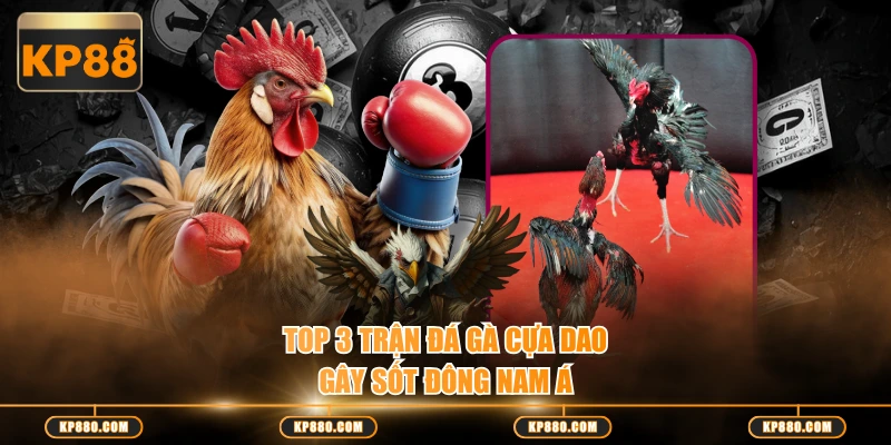 Top 3 trận đá gà cựa dao gây sốt Đông Nam Á